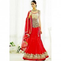 Indian Designer Embroidery Dress -dr145